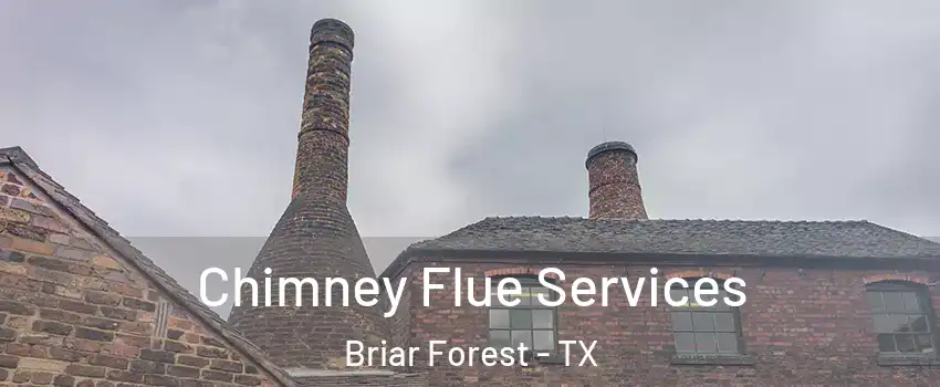 Chimney Flue Services Briar Forest - TX