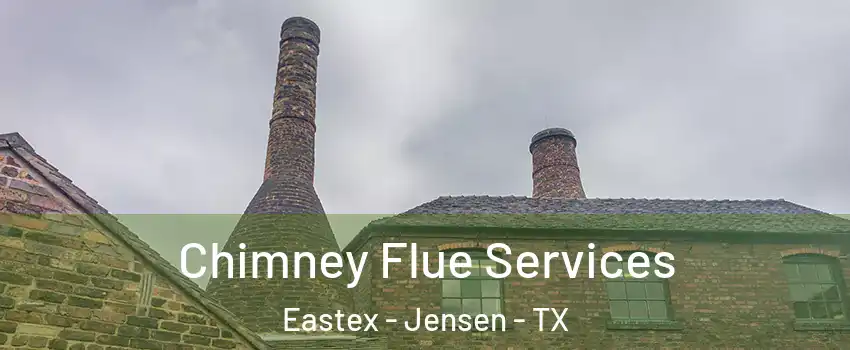 Chimney Flue Services Eastex - Jensen - TX