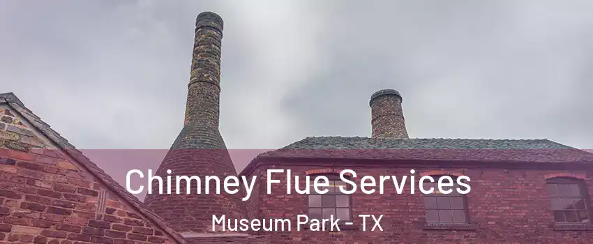 Chimney Flue Services Museum Park - TX