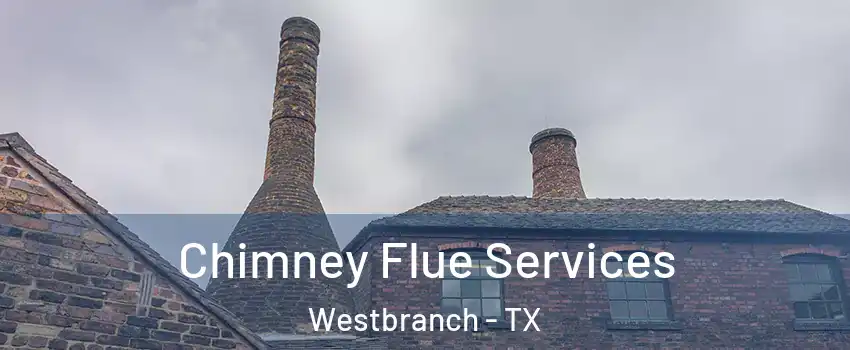 Chimney Flue Services Westbranch - TX