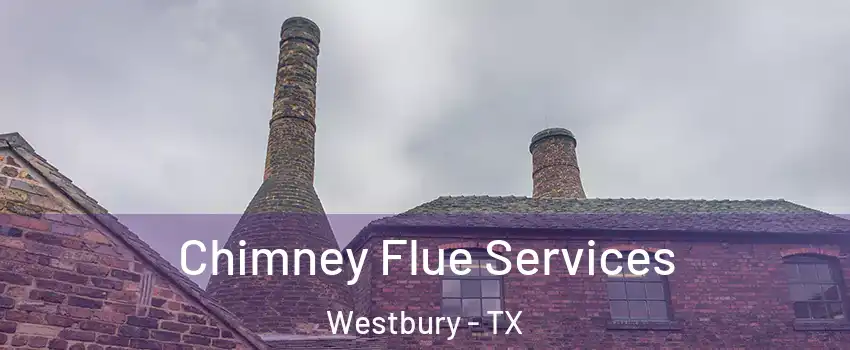 Chimney Flue Services Westbury - TX