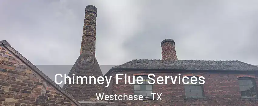 Chimney Flue Services Westchase - TX