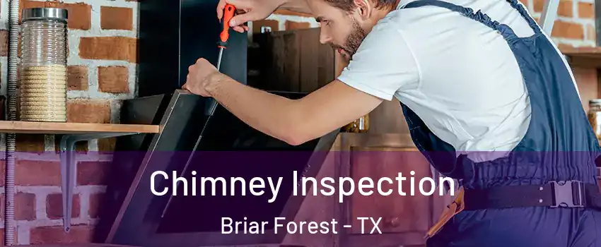 Chimney Inspection Briar Forest - TX