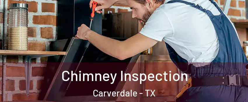 Chimney Inspection Carverdale - TX
