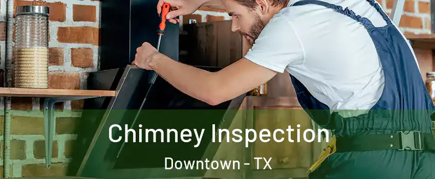 Chimney Inspection Downtown - TX