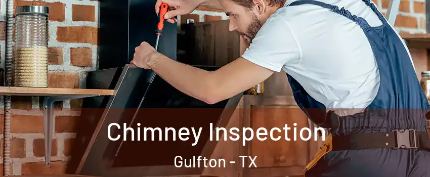 Chimney Inspection Gulfton - TX