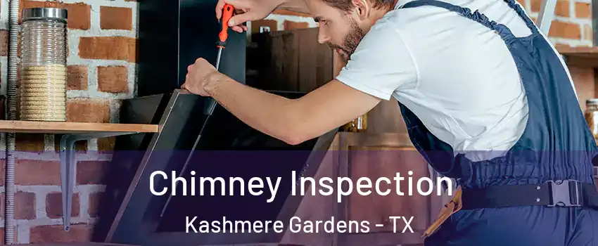 Chimney Inspection Kashmere Gardens - TX