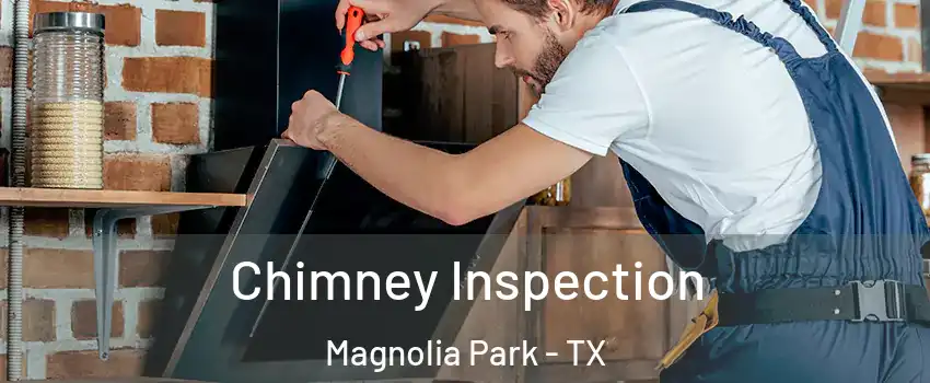 Chimney Inspection Magnolia Park - TX
