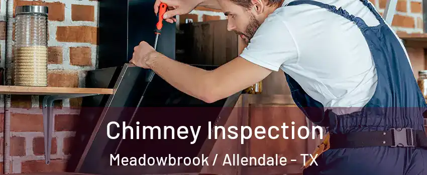 Chimney Inspection Meadowbrook / Allendale - TX