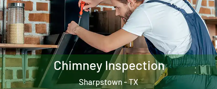 Chimney Inspection Sharpstown - TX