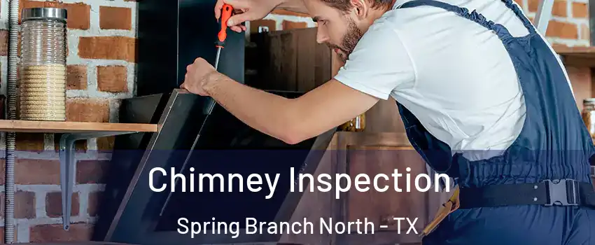 Chimney Inspection Spring Branch North - TX