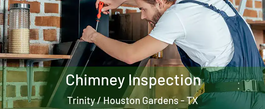 Chimney Inspection Trinity / Houston Gardens - TX
