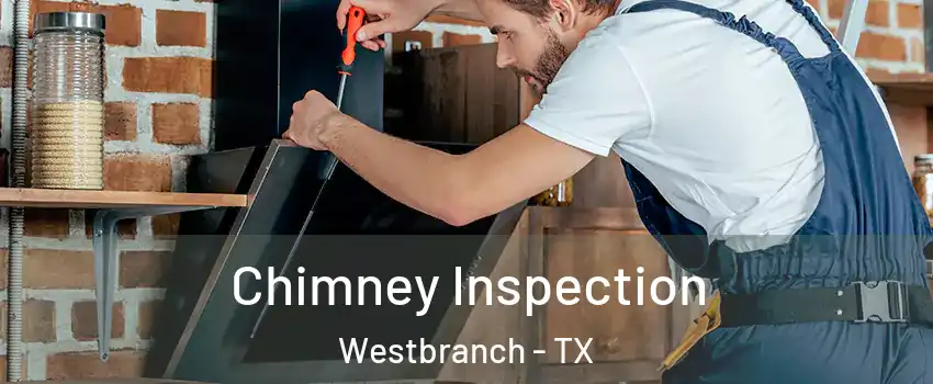 Chimney Inspection Westbranch - TX