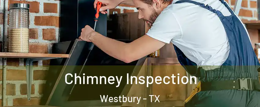 Chimney Inspection Westbury - TX