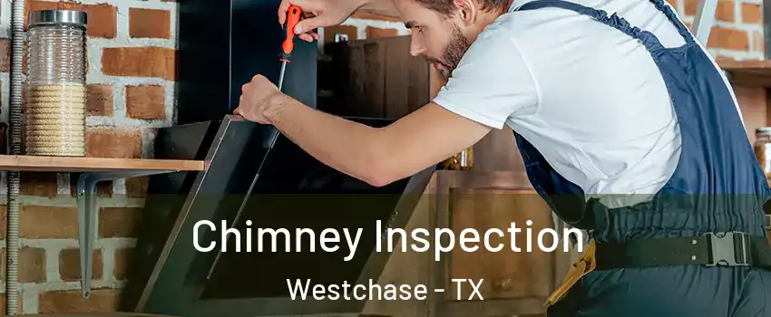 Chimney Inspection Westchase - TX