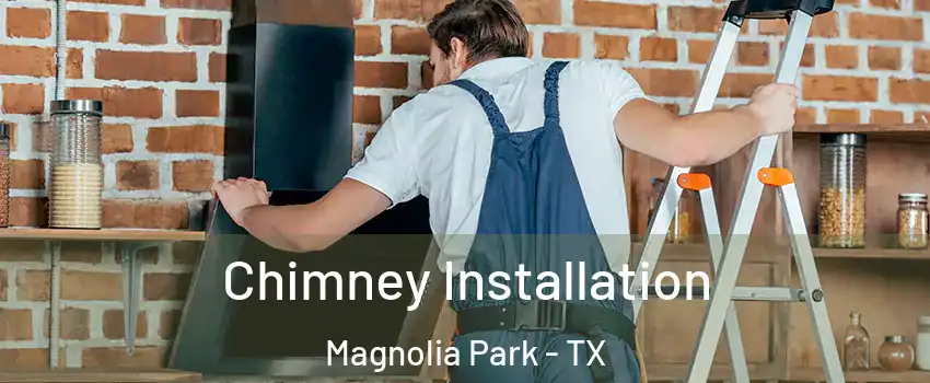 Chimney Installation Magnolia Park - TX