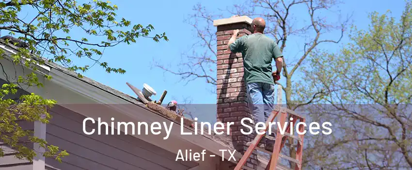 Chimney Liner Services Alief - TX