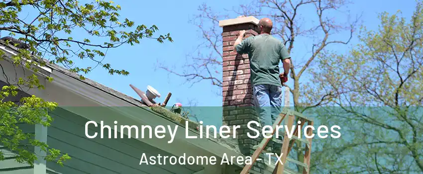 Chimney Liner Services Astrodome Area - TX