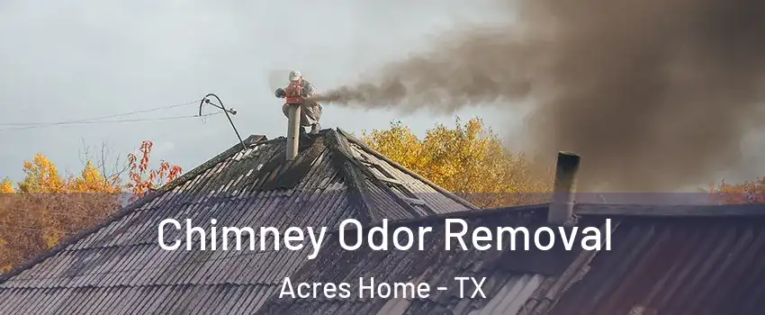 Chimney Odor Removal Acres Home - TX
