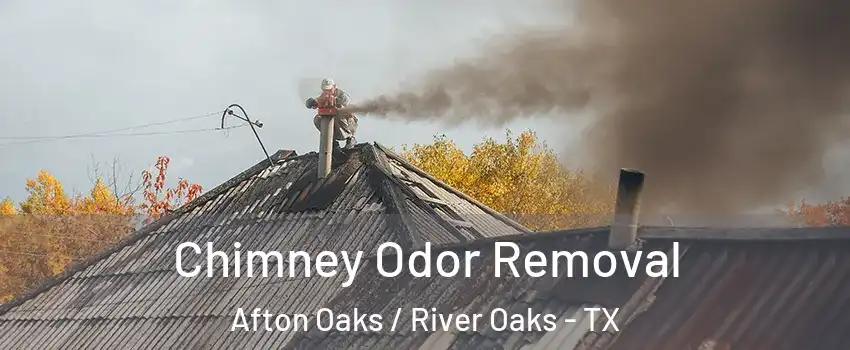 Chimney Odor Removal Afton Oaks / River Oaks - TX