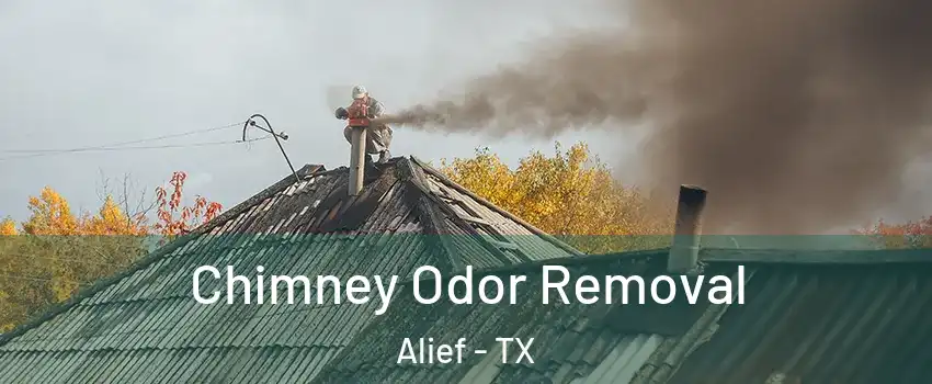 Chimney Odor Removal Alief - TX