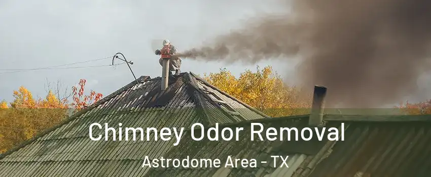 Chimney Odor Removal Astrodome Area - TX