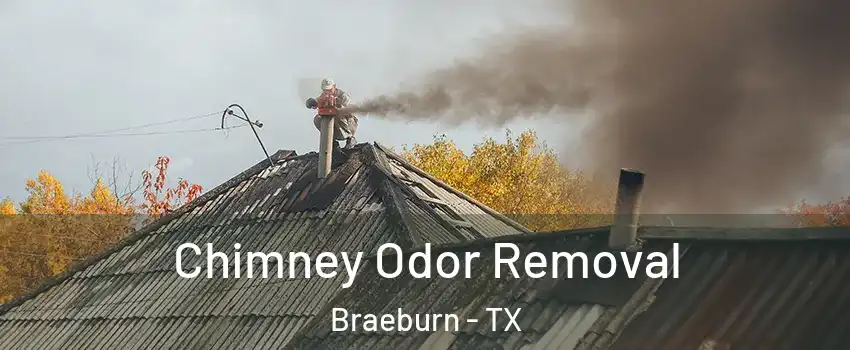 Chimney Odor Removal Braeburn - TX