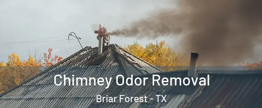 Chimney Odor Removal Briar Forest - TX