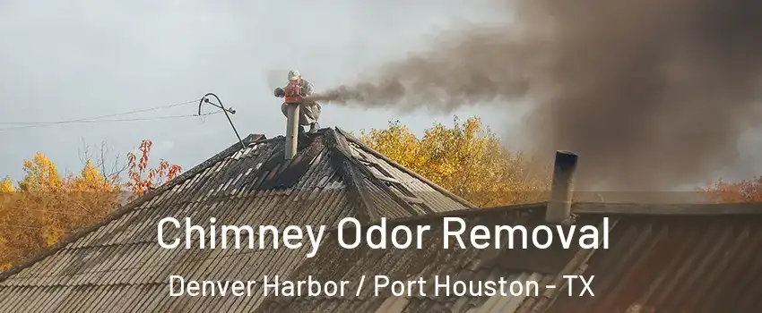 Chimney Odor Removal Denver Harbor / Port Houston - TX