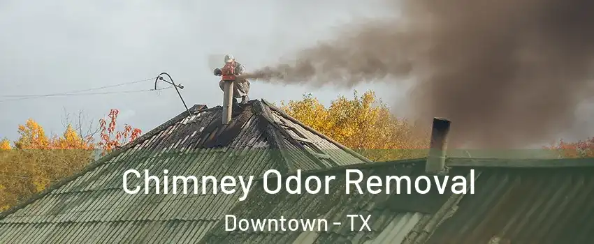 Chimney Odor Removal Downtown - TX