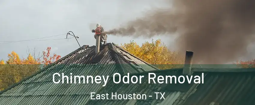 Chimney Odor Removal East Houston - TX