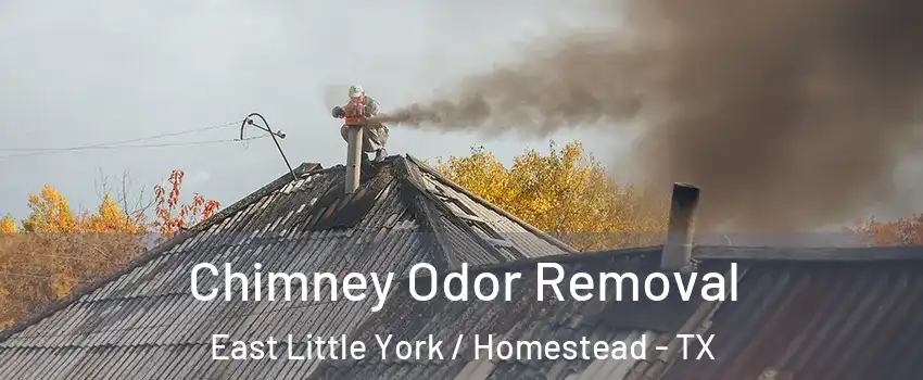 Chimney Odor Removal East Little York / Homestead - TX