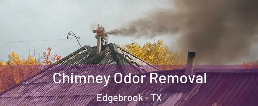 Chimney Odor Removal Edgebrook - TX