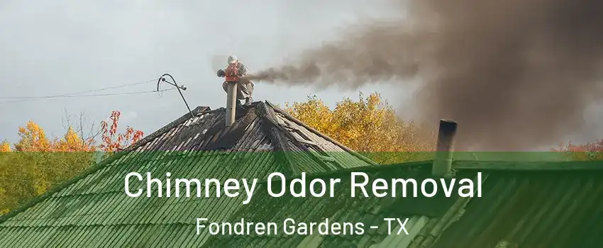 Chimney Odor Removal Fondren Gardens - TX