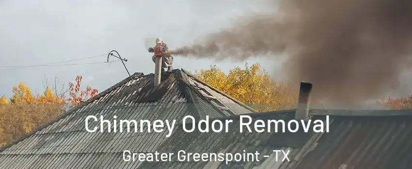 Chimney Odor Removal Greater Greenspoint - TX
