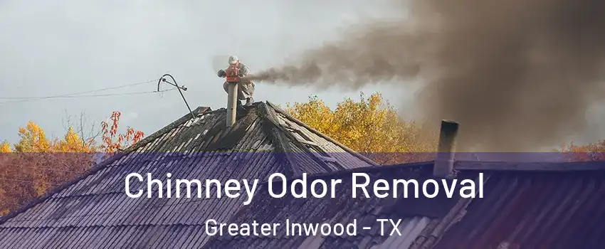 Chimney Odor Removal Greater Inwood - TX