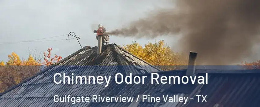 Chimney Odor Removal Gulfgate Riverview / Pine Valley - TX