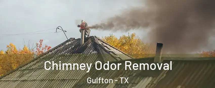 Chimney Odor Removal Gulfton - TX
