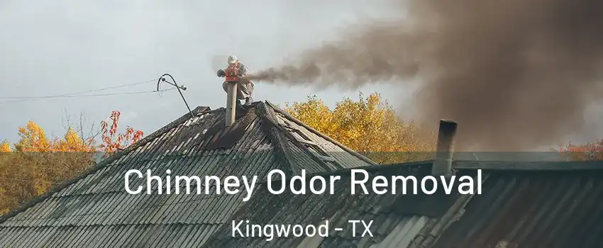 Chimney Odor Removal Kingwood - TX