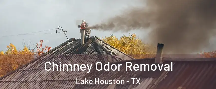 Chimney Odor Removal Lake Houston - TX