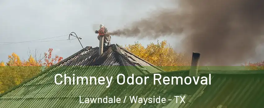Chimney Odor Removal Lawndale / Wayside - TX