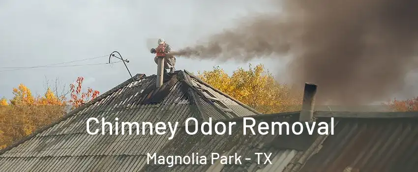 Chimney Odor Removal Magnolia Park - TX