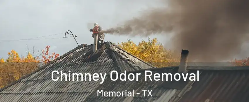 Chimney Odor Removal Memorial - TX
