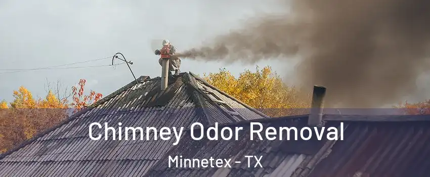 Chimney Odor Removal Minnetex - TX