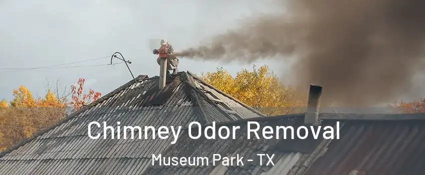 Chimney Odor Removal Museum Park - TX