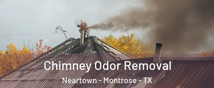 Chimney Odor Removal Neartown - Montrose - TX