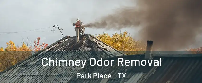 Chimney Odor Removal Park Place - TX
