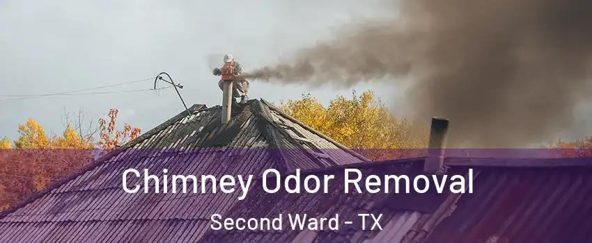 Chimney Odor Removal Second Ward - TX
