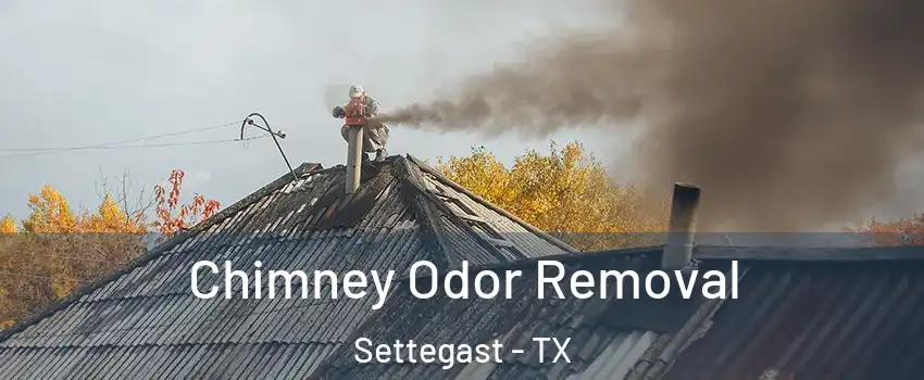 Chimney Odor Removal Settegast - TX