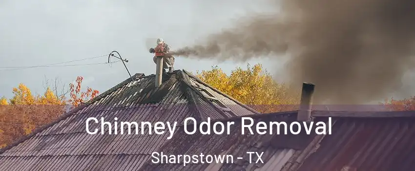 Chimney Odor Removal Sharpstown - TX